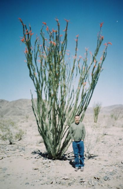 No, he's not underwater. That's a great big flowering cactus thing!